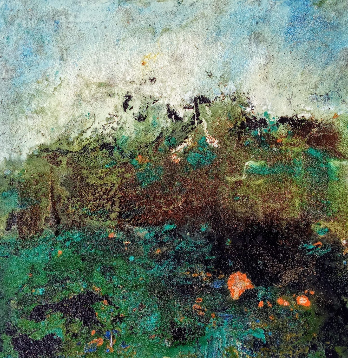 Selva Valdiviana 40x40