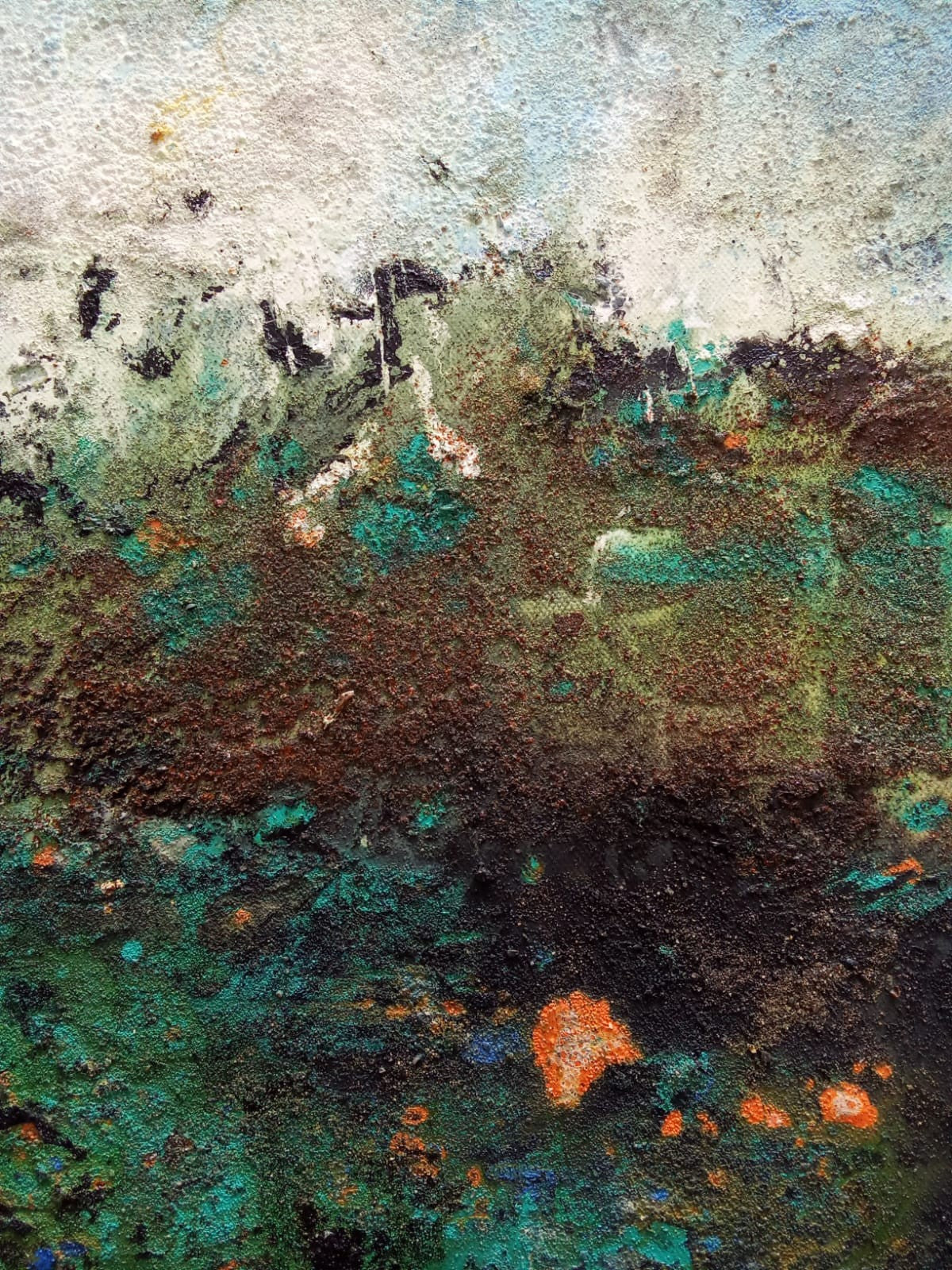 Selva Valdiviana 40x40