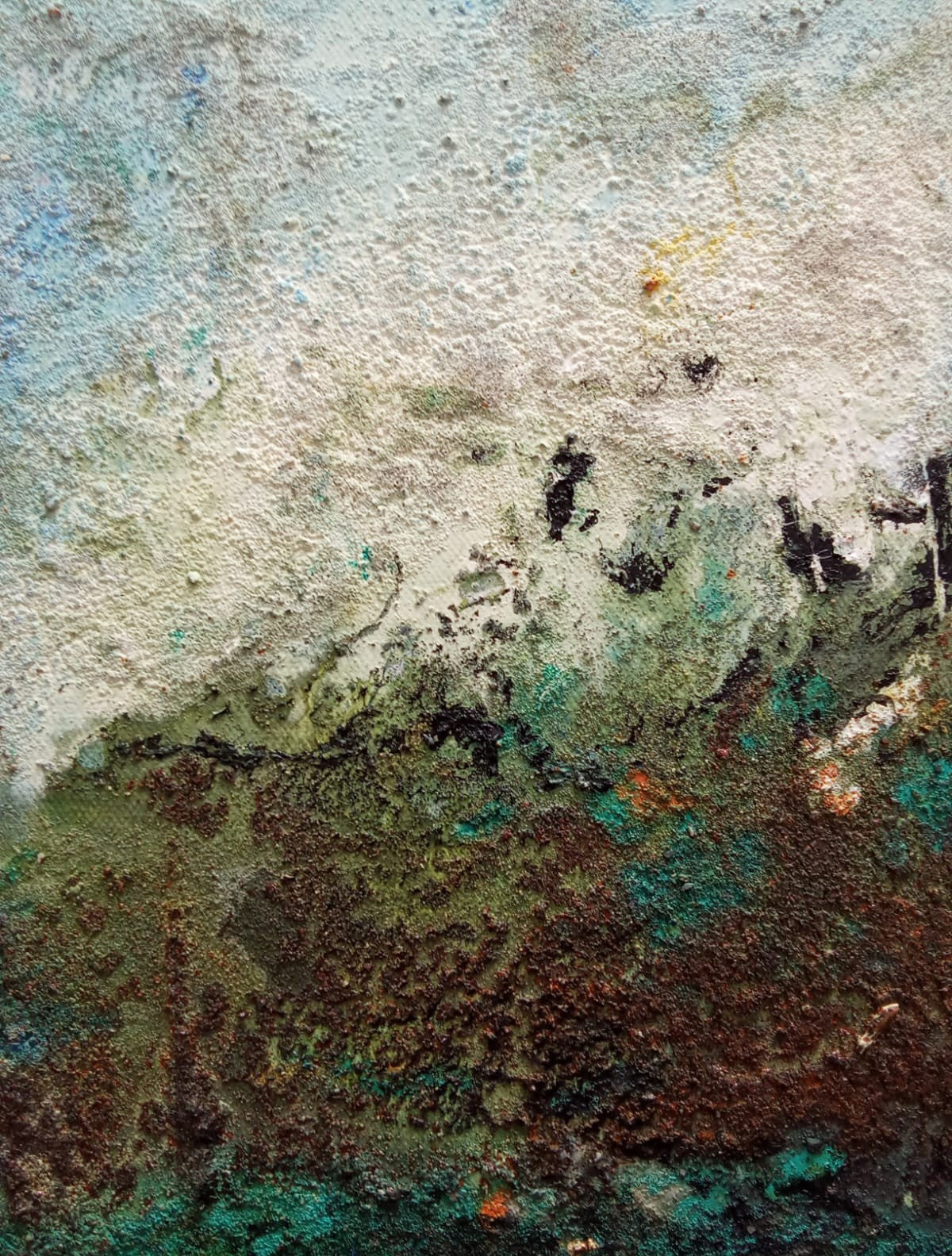 Selva Valdiviana 40x40