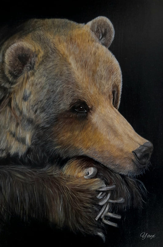 Oso-Protector 40 x 50