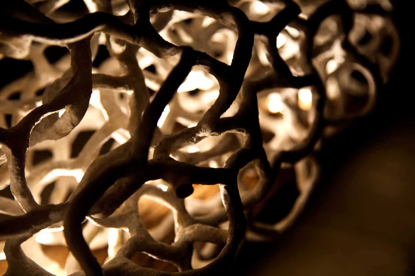 Coral n°1