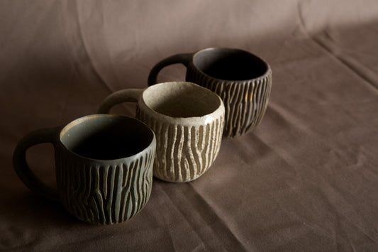 Taza Fungi