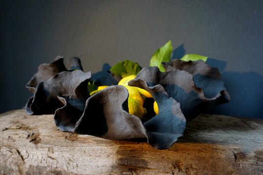Fuente Fungi