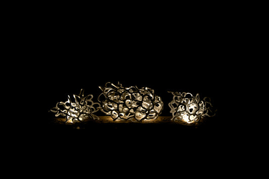 Coral n°1